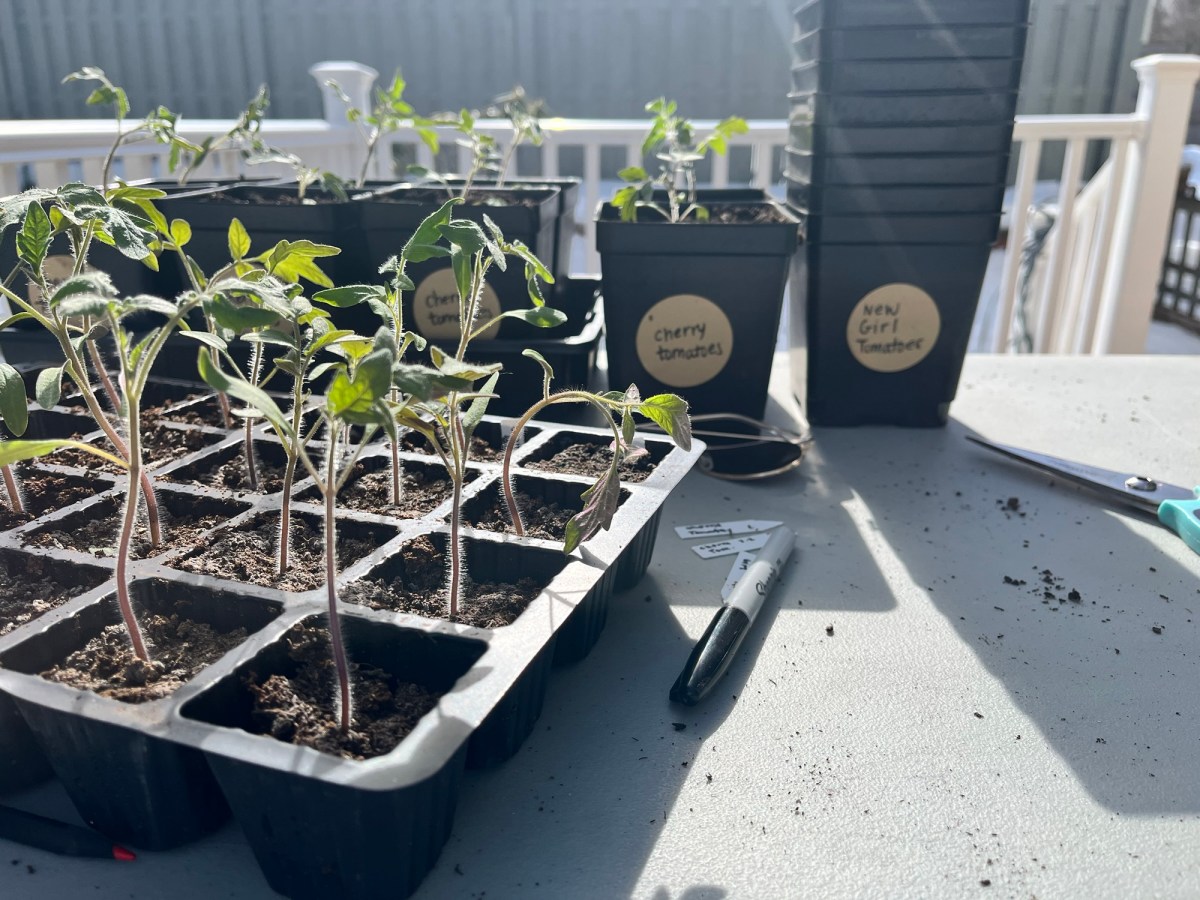 Just a Little Winter&nbsp;Update